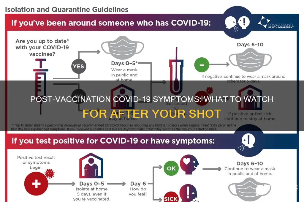 what are the symptoms of corona after vaccination