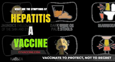 Understanding Hepatitis A Vaccine Side Effects and Symptoms