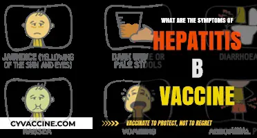 Hepatitis B Vaccine Symptoms: What to Expect After Vaccination