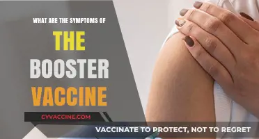 Booster Vaccine Symptoms: What to Expect After Your Shot