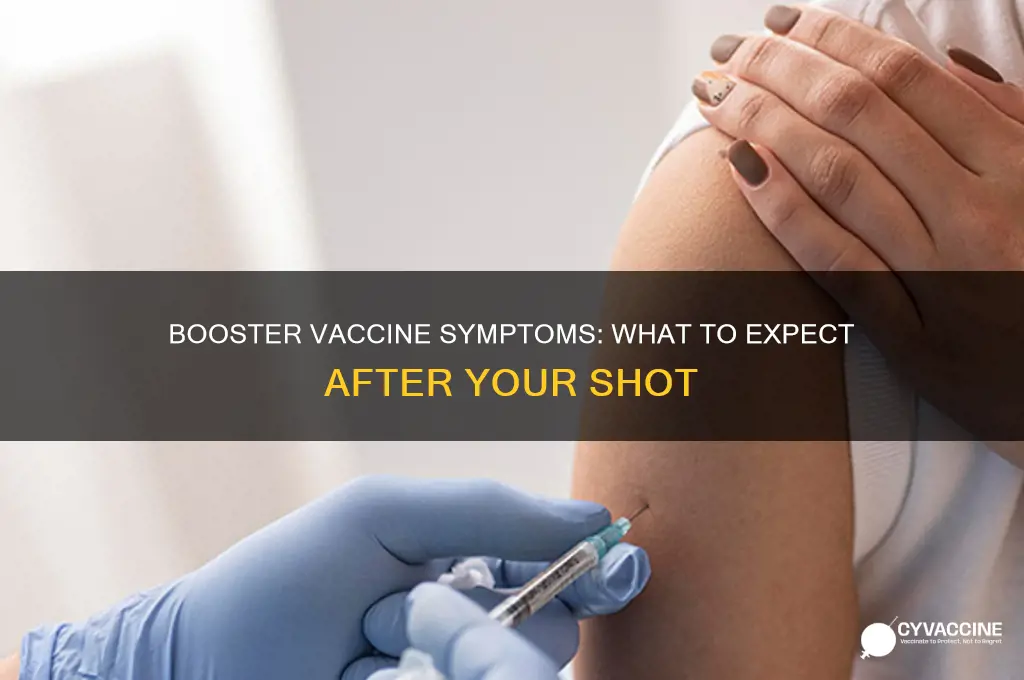 what are the symptoms of the booster vaccine