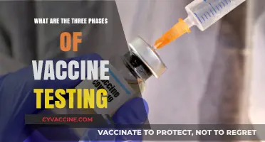 Understanding Vaccine Development: The Three Critical Testing Phases Explained
