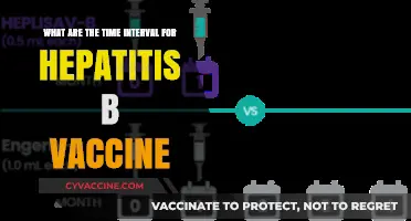 Hepatitis B Vaccine Schedule: Timing and Doses Explained