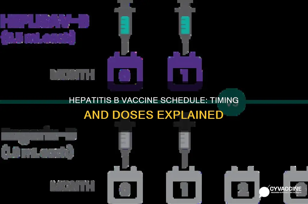 what are the time interval for hepatitis b vaccine