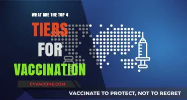 Understanding the Four Key Tiers in Global Vaccination Strategies