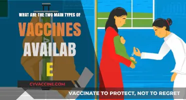 Understanding the Two Primary Types of Vaccines Available Today