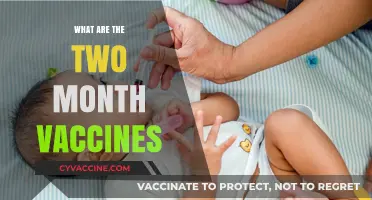 Essential Two-Month Vaccines: Protecting Your Baby's Health Early On