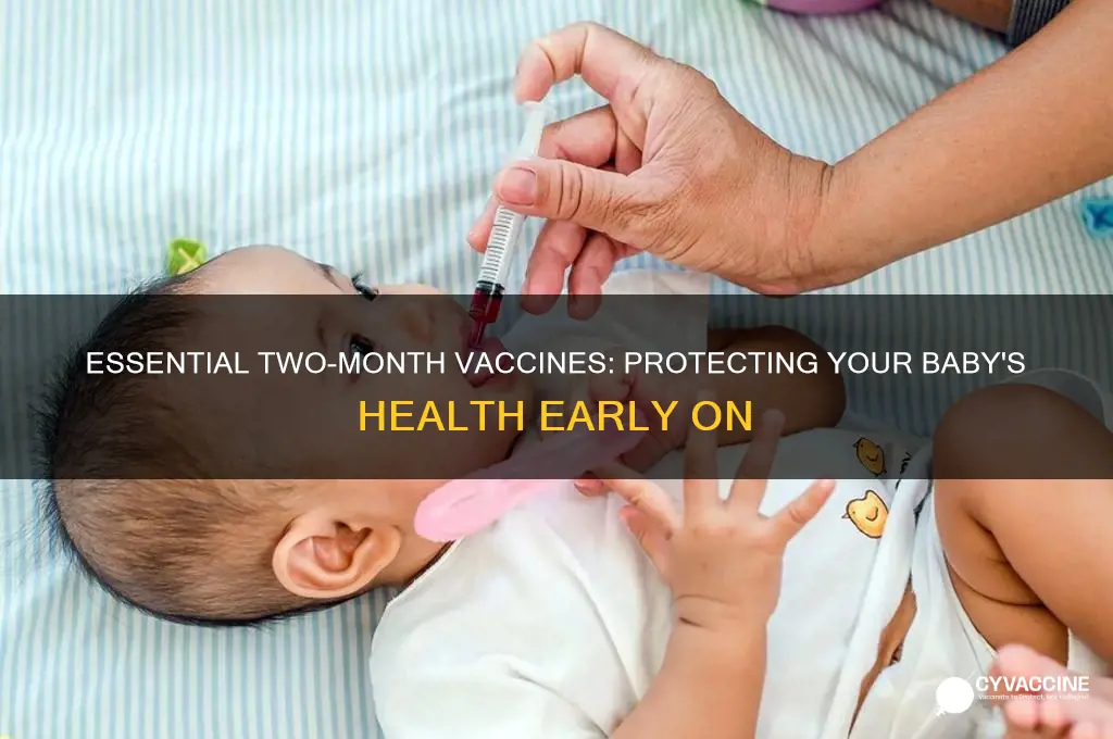 what are the two month vaccines