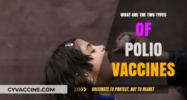 Understanding Polio Vaccines: Oral vs. Inactivated Types Explained