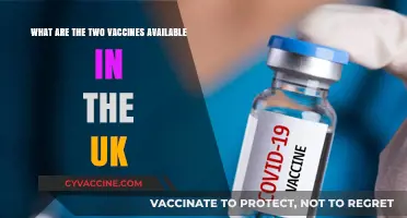 UK's COVID-19 Vaccines: Pfizer and AstraZeneca Explained