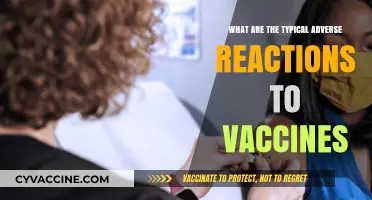 Understanding Common Vaccine Side Effects: What to Expect After Immunization