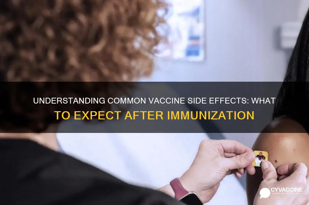 what are the typical adverse reactions to vaccines