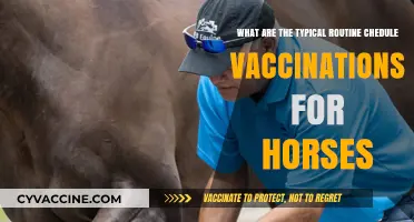Essential Horse Vaccination Schedule: Routine Care for Equine Health