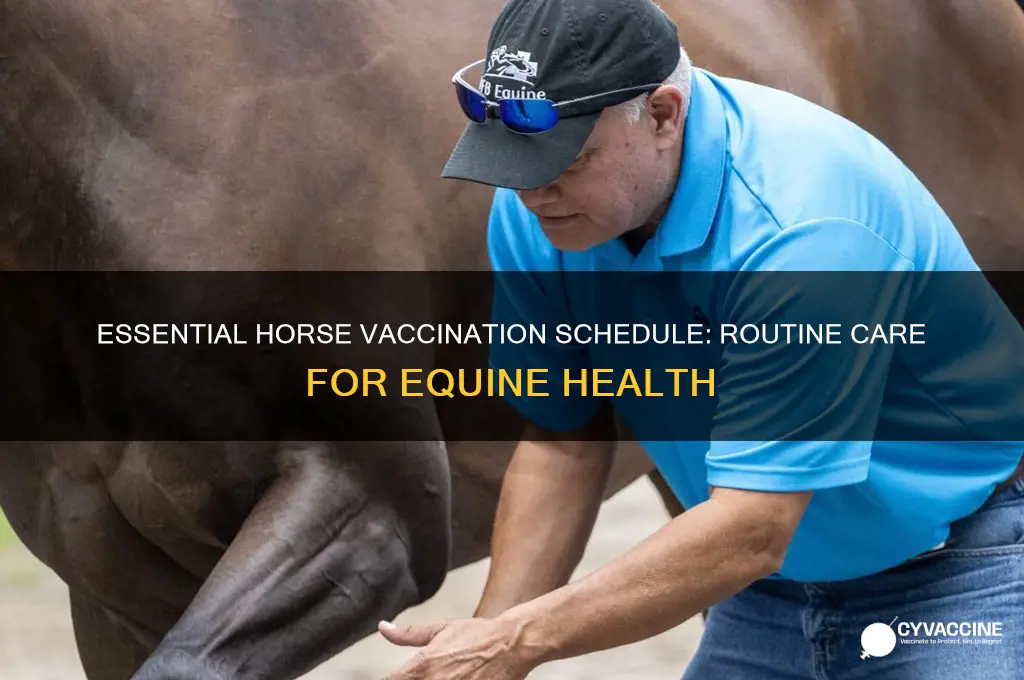 what are the typical routine chedule vaccinations for horses