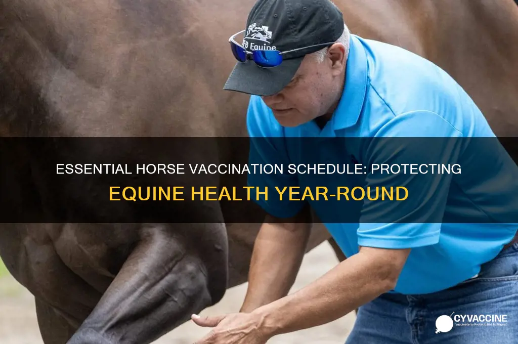 what are the typical routine vaccinations for horses