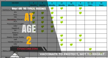 Essential Vaccines for Toddlers: A Guide to Age 2 Immunizations