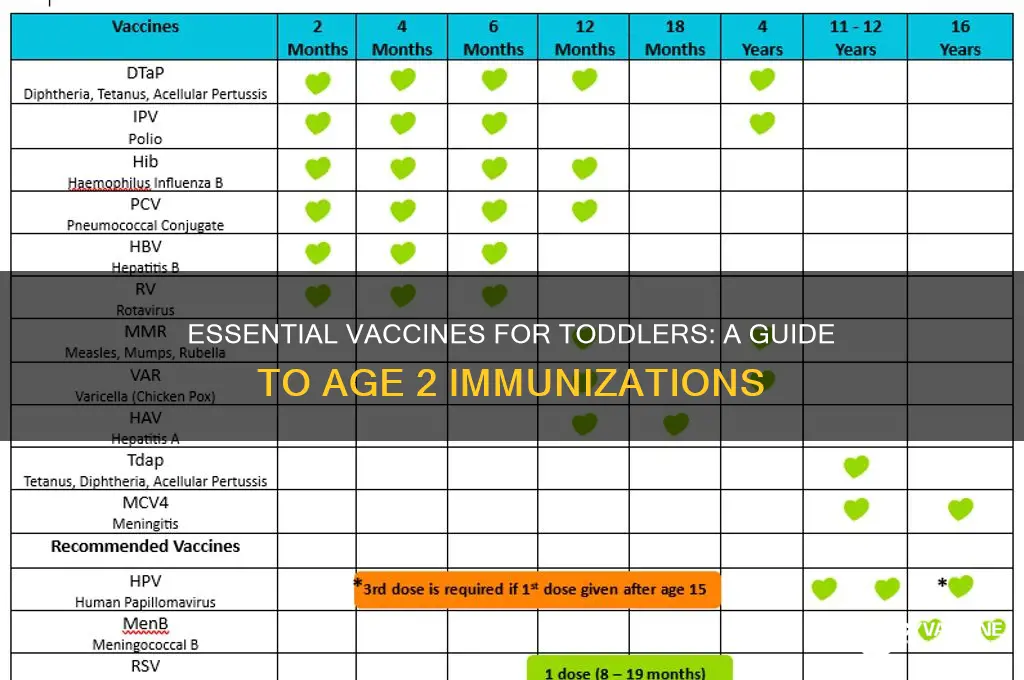 what are the typical vaccines at age 2