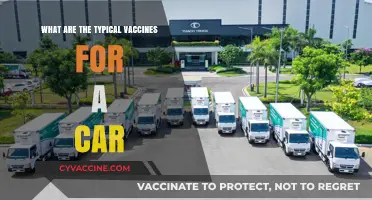 Essential Vaccines for Cars: Protecting Your Vehicle's Health and Performance