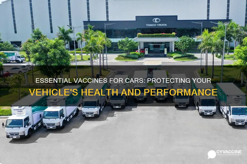 what are the typical vaccines for a car