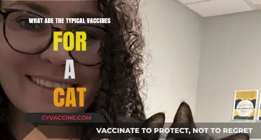 Essential Cat Vaccines: Protecting Your Feline's Health and Well-being
