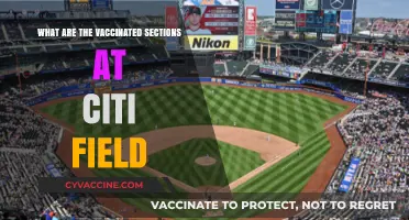 Citi Field's Vaccinated Sections: A Guide to Safe Seating