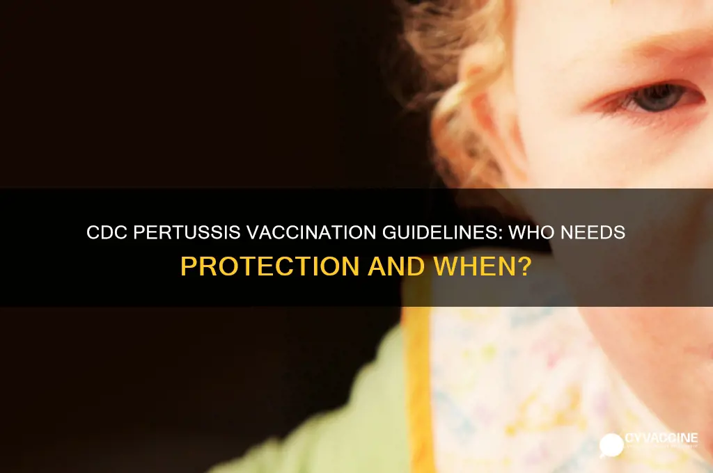 what are the vaccination recommendations for pertussis by the cdc