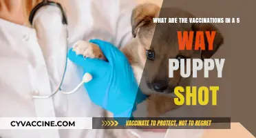 Essential Puppy Vaccinations: Understanding the 5-Way Shot Components