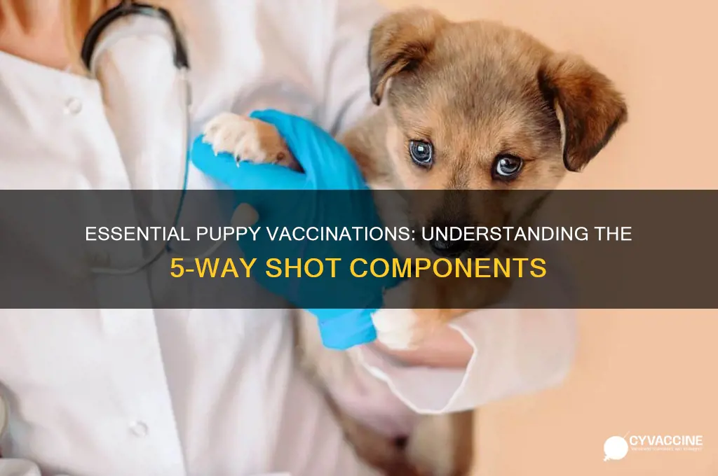 what are the vaccinations in a 5 way puppy shot