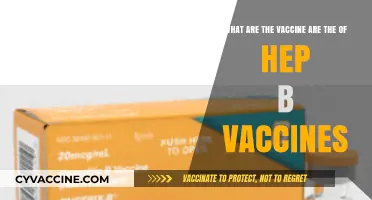 Understanding Hepatitis B Vaccines: Types, Benefits, and Importance