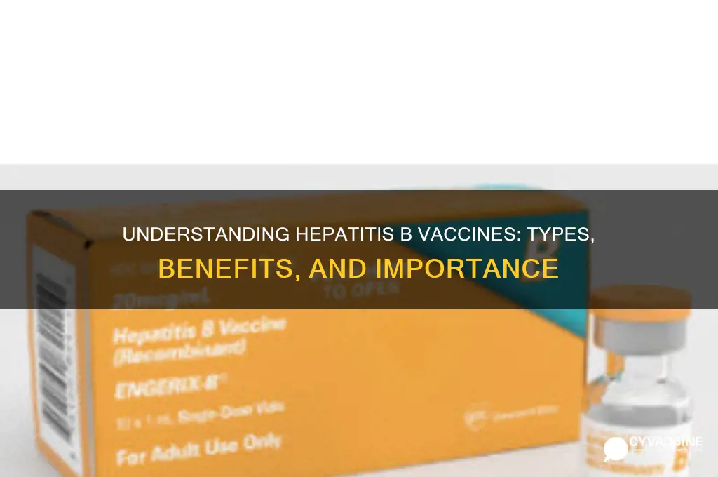 what are the vaccine are the of hep b vaccines