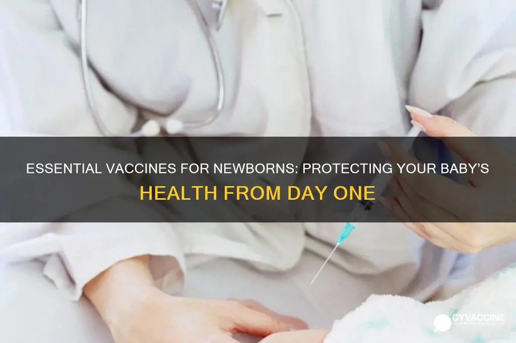 what are the vaccine for new born baby