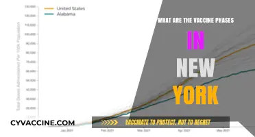 New York's Vaccine Rollout: Understanding the Distribution Phases