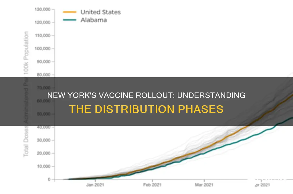 what are the vaccine phases in new york