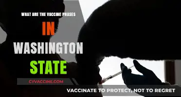 Washington State's Vaccine Rollout: Understanding the Phases and Timeline
