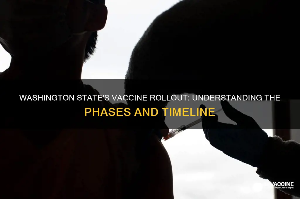 what are the vaccine phases in washington state