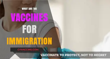 Essential Vaccines for Immigration: A Comprehensive Guide for Newcomers