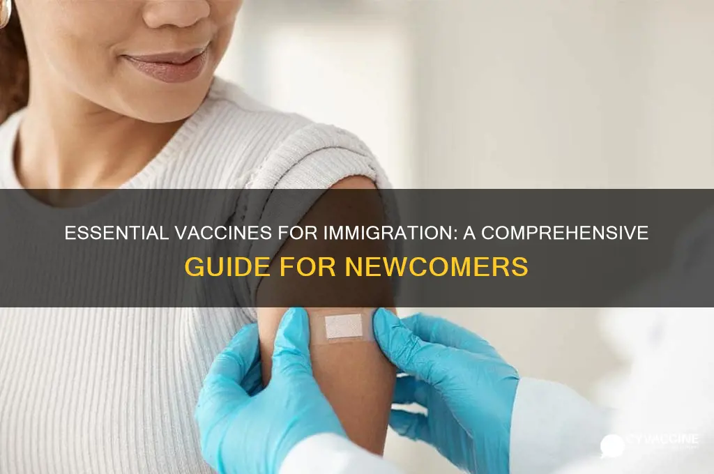 what are the vaccines for immigration