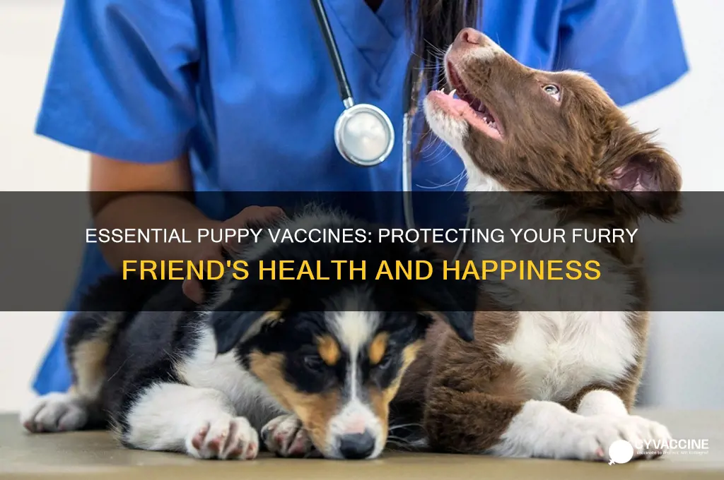 what are the vaccines for puppies