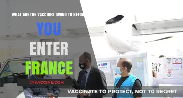 Essential Vaccines Required for Travelers Entering France: A Comprehensive Guide