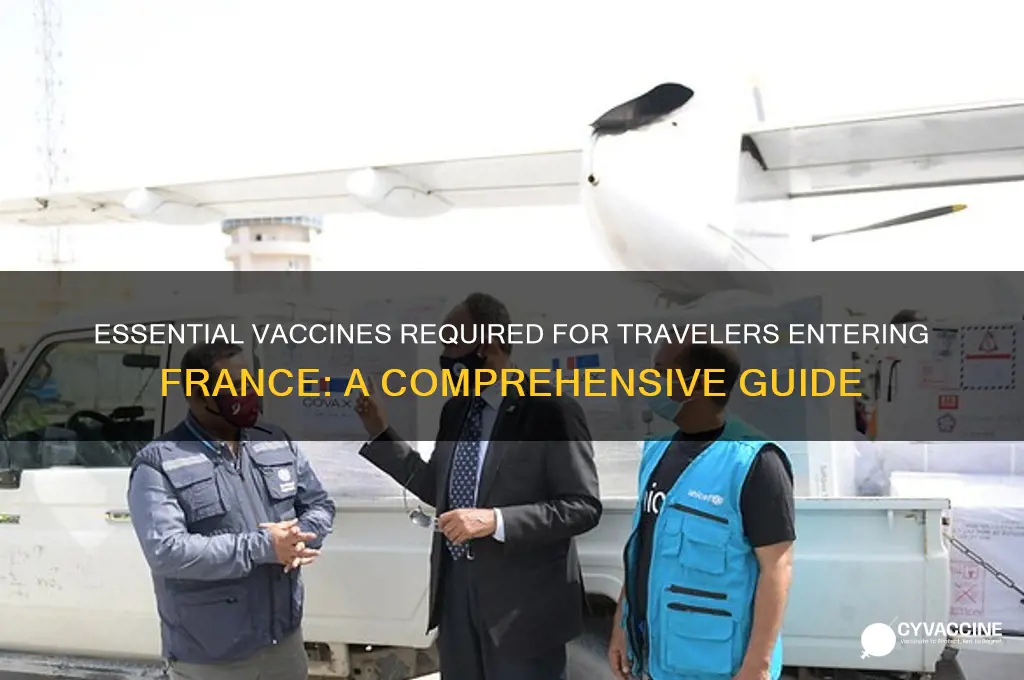 what are the vaccines giving to before you enter france