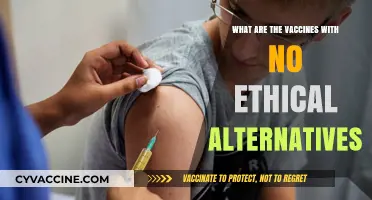 Vaccines Without Ethical Alternatives: Navigating Complex Moral Dilemmas