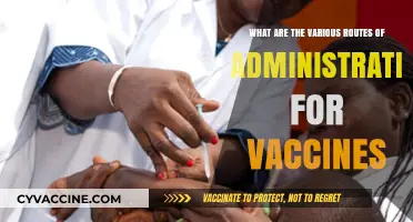 Exploring Diverse Vaccine Administration Routes: Methods and Effectiveness
