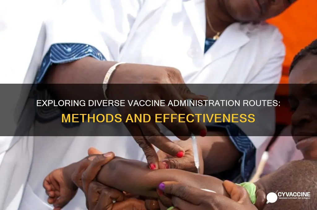 what are the various routes of administration for vaccines