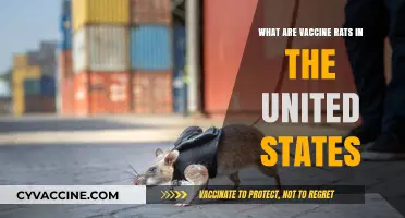Understanding Vaccine Rats: Unraveling the Myth in the United States