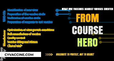 Understanding Viral Vaccines: Creation Insights from Course Hero Explained