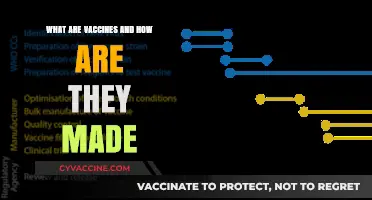 Understanding Vaccines: Creation Process and Their Life-Saving Impact