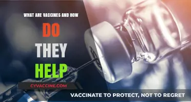 Understanding Vaccines: How They Work to Protect Our Health