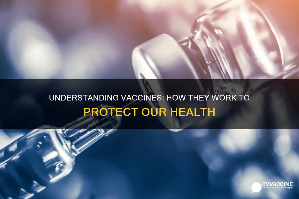 what are vaccines and how do they help