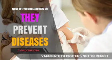 Understanding Vaccines: How They Work to Prevent Diseases Effectively