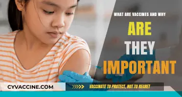 Understanding Vaccines: Their Role and Importance in Public Health
